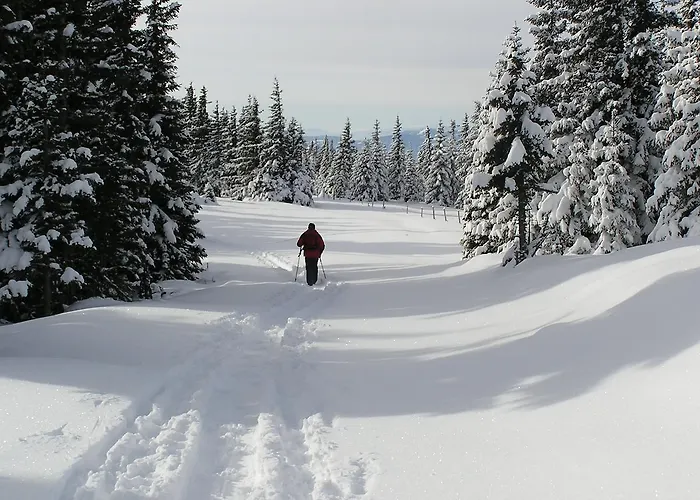 Casa de hóspedes Roseggerhof 3*